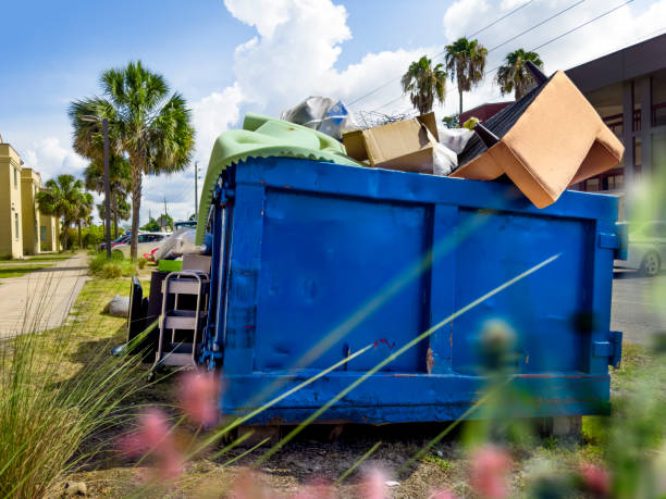 Best Estate Cleanout Services  in Hector, MN